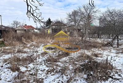 Teren de vanzare 3400 mp Lilieci Bacau - 8