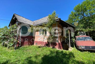 Casa de vanzare in Berinta de 50 mp cu anexa si 22 de ari teren - 2