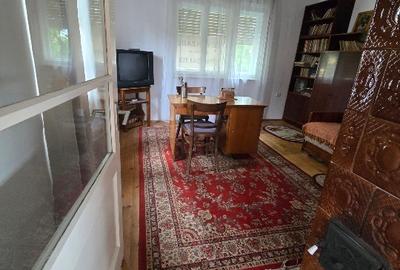 Aproape de Marginimea Sibiului, casa in inima unui parc - 13