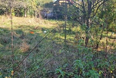Teren intravilan 1781 mp în Băile Olănești – zonă turistică - 3