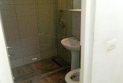 Inchiriez apartament cu 2 camere in zona centrala -langa Unicredit Bank - 13