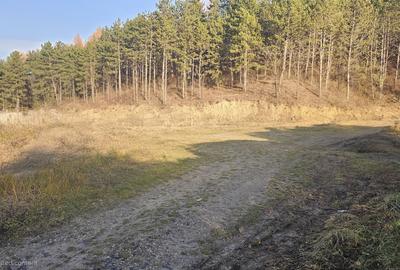 Teren intravilan de vanzare, Camping Colina - 1