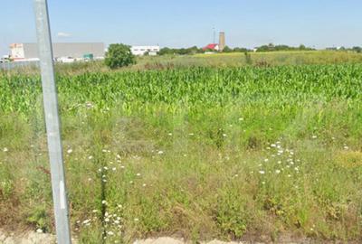 Teren Construcții intravilan de 3042 mp, în Cârcea