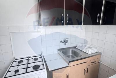 Apartament cu 1 camere de inchiriat in zona Zorilor - 4
