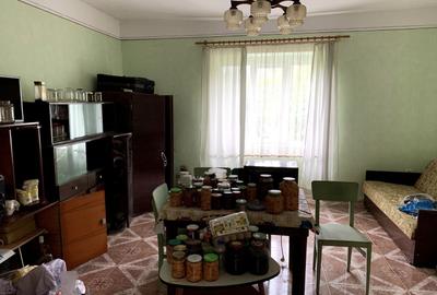 Casa individuala în Otelec - 3.313 mp teren - 2 fronturi stradale - 13