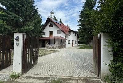 Pensiune/ Vila Valea Avrigului - 4