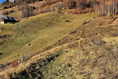 Teren de vânzare în sat Măgura/ Brasov– loc pentru familie, liniște și suflet - 22