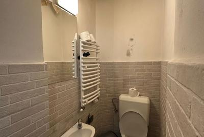 Spatiu comercial în Piața Unirii - 155 mp - 26