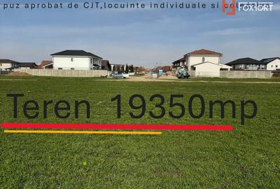 Teren extravilan de 19350 mp - zona Chisoda - 1