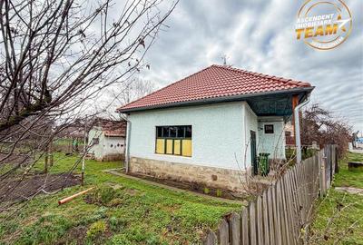 Casa traditionala, cu 709 mp teren intravilan zona apreciabila, Sfantu Gheorghe - 18