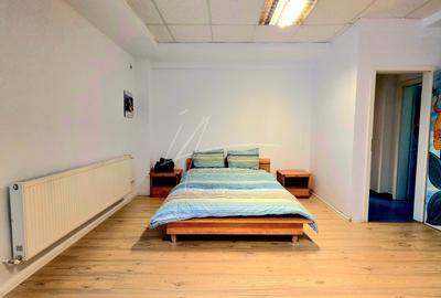 Apartament cu 5 camere-239 mp. utili si terasa 356 mp. in Prel. Ghencea-parter - 41
