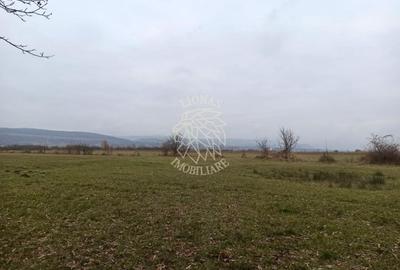 Teren 19611 mp (1,96 Ha)-ideal agricultura, investitie-Zona Aerodrom - 3