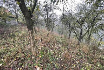 Casa individuala cu 6 camere si 3 bai si 1413 mp teren in Blaj - 11