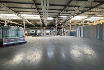 Spațiu industrial de inchiriat 324 mp Calea Lugojului-Centura Timișoara - 8