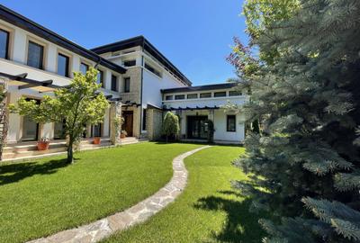 Casă individuală cu 8 camere în Iancu Nicolae