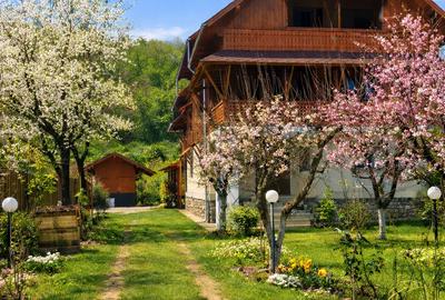 Proprietate montană,teren generos, casă solidă și autonomie energetică  Mălaia - 1