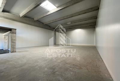 Spațiu industrial, 523 mp în Sânandrei