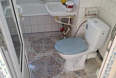 3 camere DECOMANDAT, 67 mp, 2 bai, Viziru 1 - Pistruiatu - 8