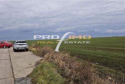 Plaja Corbu-Teren 4200mp. la numai 8 euro /mp. Soseaua asfaltata - 9