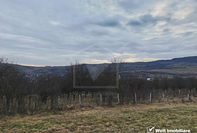 2 parcele de 1000 mp de vanzare, Macicasu - 1