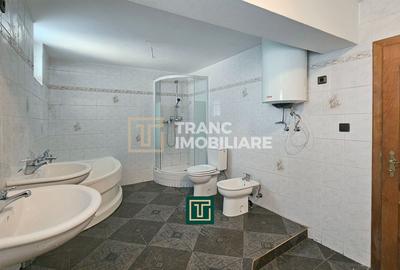 Proprietate multifunctionala - teren generos, cladire si hala in Lugoj - 14