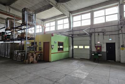 Spatiu industrial, hala, pana la 3500 mp, Buftea, 3.5 euro/mp - 1