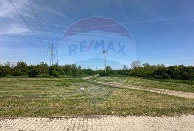 Teren 545,000mp Dragomiresti-Vale - 5