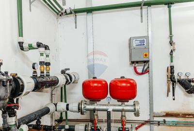 BUSINESS DE VANZARE Plantatie de afin din Romania - 14