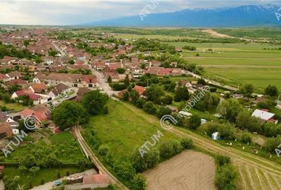 Teren intravilan in Avrig de 1000 mp din Sibiu - 4