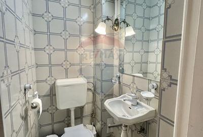 Casa / Vila cu 7 camere de vanzare în zona Domenii - 8