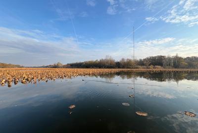Marina Snagov - Inchiriere - Vila NOUA - 5 camere - ponton la Lacul Snagov - 26