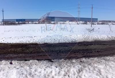 Teren 9,000mp Buftea / Strada Randunelelor - 7