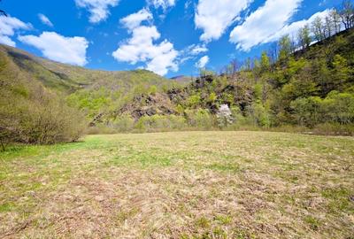 Vând teren intravilan Tarnița - Risca - Mărișel  jud. Cluj - 5