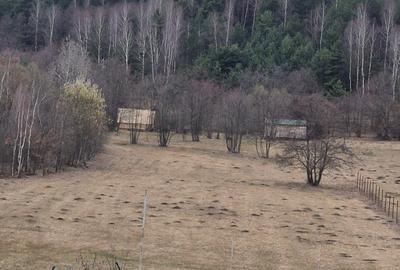 Casute vacanta cu teren 5600m2 - 8