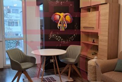 Garsoniera renovata etaj intermediar Gheorgheni Brancusi Diana - 9