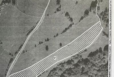 Teren extravilan 2ha, priveliste panoramica spre munti /Poiana Marului - 13