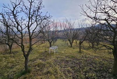 Teren extravilan 10,791mp Falticeni / Strada DJ209A, Opriseni - 16