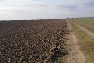 Teren  stradal , zona in dezvoltare , posibil marire suprafata . - 4