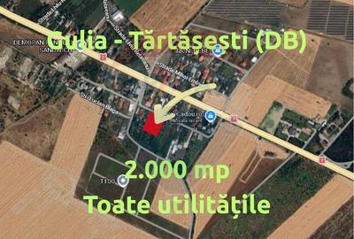Ocazie! Teren Gulia-Tărtășești | 2.000 mp | Deschidere 40m | Utilități - 2
