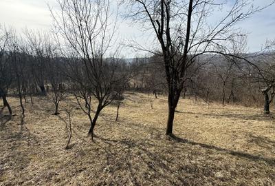 Teren intravilan 2788 mp deschidere 55 ml cu vedere panoramica ! - 5