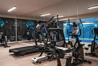 IANCU NICOLAE 4 CAMERE GENEROS CU 2 TERASE - 22