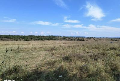 Închiriez teren intravilan - 1