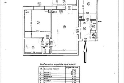 TINERETULUI TIMPURI NOI-FACULTATI - 12