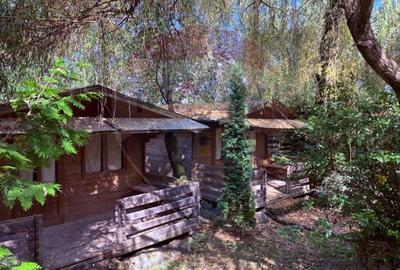 Ansamblu de 7 Căsuțe de Vacanță, Ocna Șugatag - 2