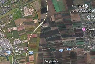 Teren 9000 mp Sacele Izvor, front 356 m la DJ 103A - 12