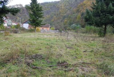 Teren intravilan ideal si de investitie, in Loc. Resita, strada Ciresului - 10