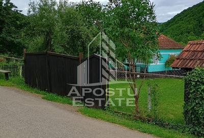 Casa batraneasca de vanzare, 4 camere, in Hunedoara, sat Micanesti - 15