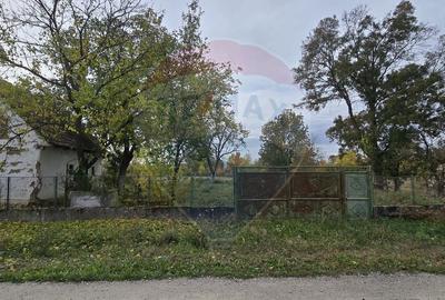 Teren generos cu potential în comuna Silindia, judetul Arad - 9