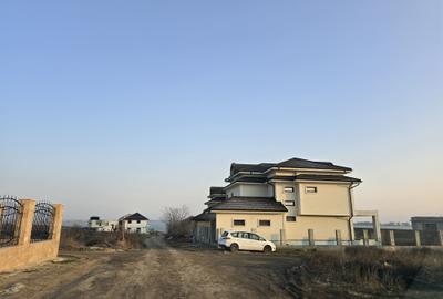 Teren de vanzare in Palazu Mare - 5