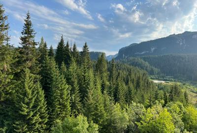 6f23ccb5-9a11-4f6e-9d5b-a23e30cc13b5